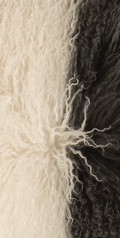peykar sumptuous ad rug vertical