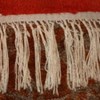 fringe5