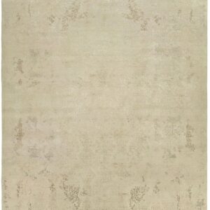 013 Transitional Rug