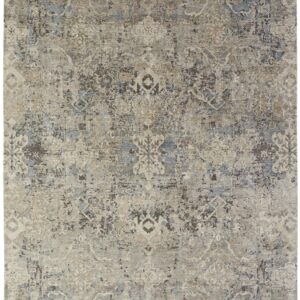 170 Transitional Rug