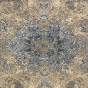 857 Transitional Rug
