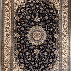 9x12 Fine Persian Naiin